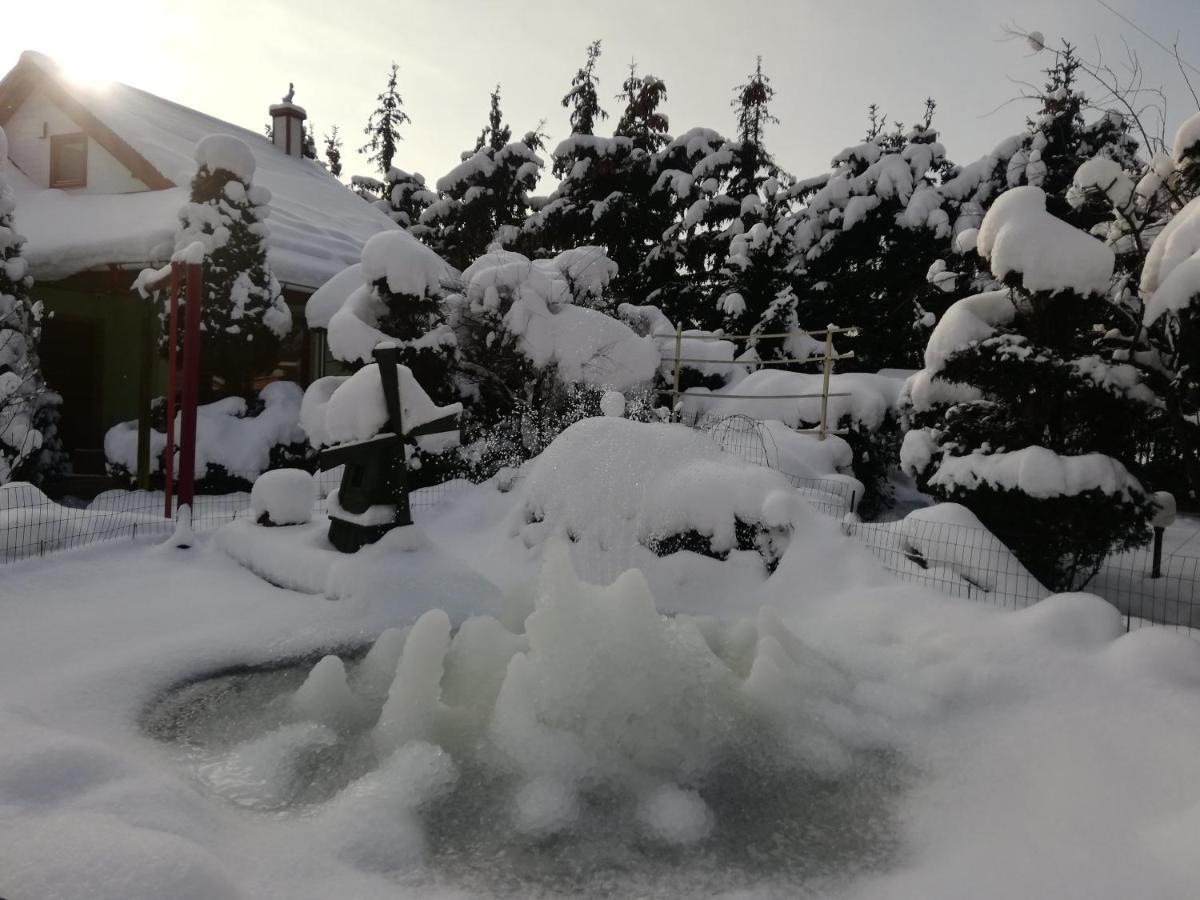 Noclegi I Restauracja Gracja Bełchatów المظهر الخارجي الصورة