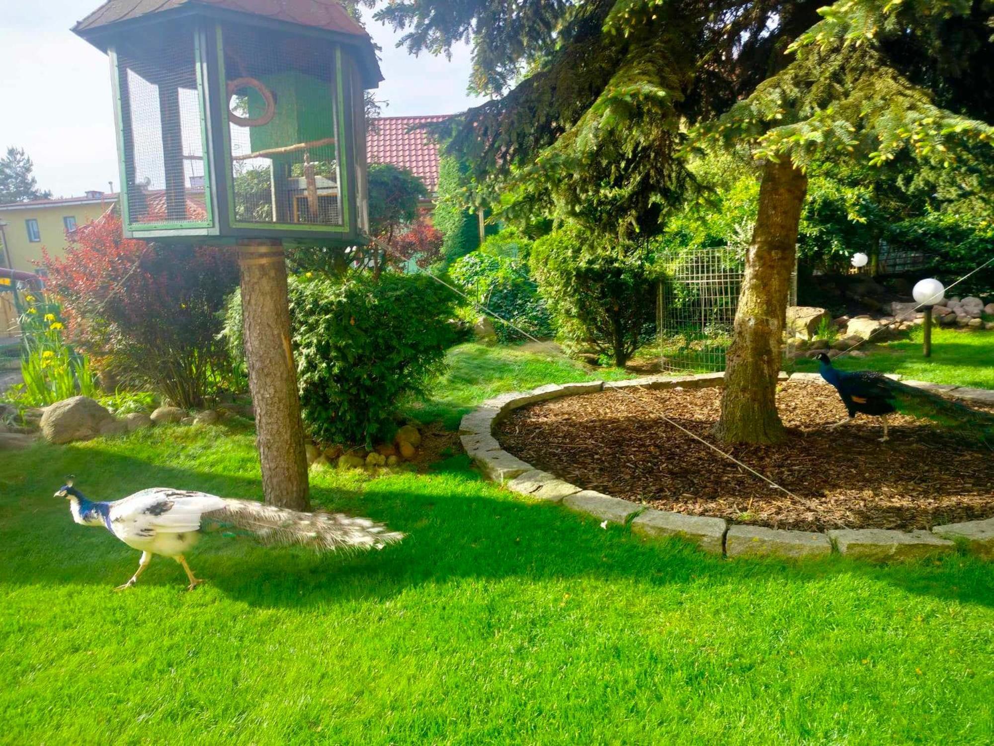 Noclegi I Restauracja Gracja Bełchatów المظهر الخارجي الصورة